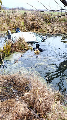 На въезде в Шую машина съехала в водоем, водитель выбрался и убежал